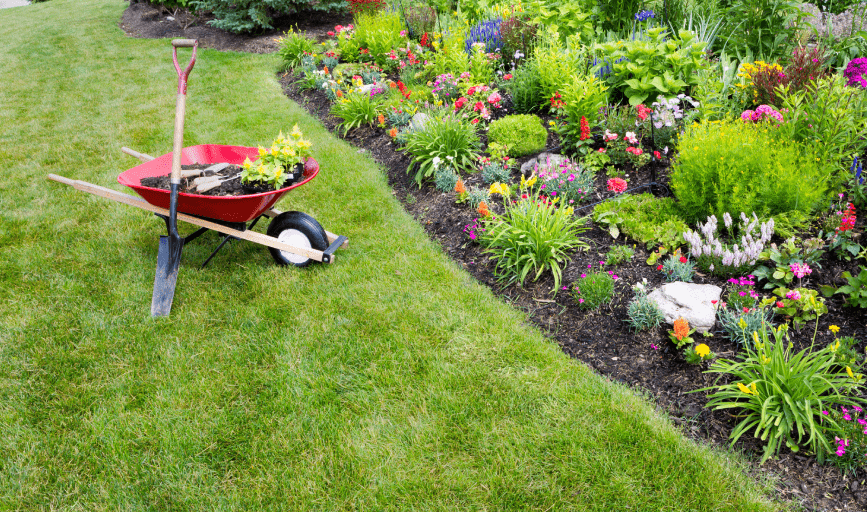 Mannys Landscape and Lawn Care